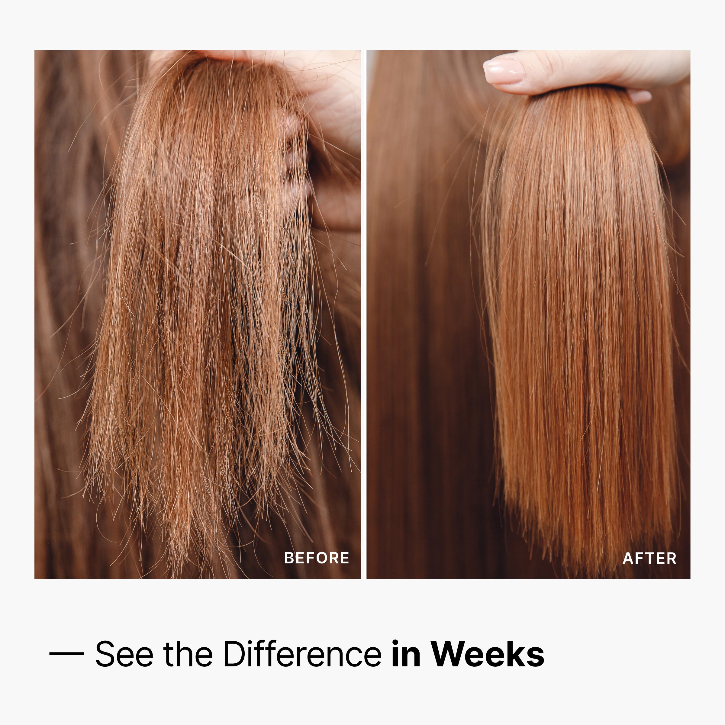 Repair Oil | MyWay HAIR DNA